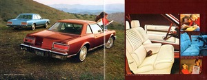 1978 Chrysler LeBaron-10-11.jpg